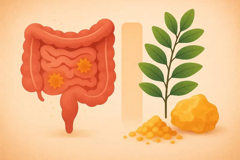 Boswellia serrata: Os Pilares Firmes que Estabilizam o Terremoto Intestinal